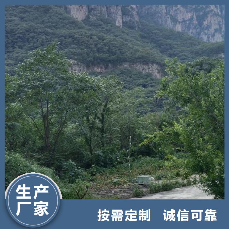 河西区小型混凝土泵车价格