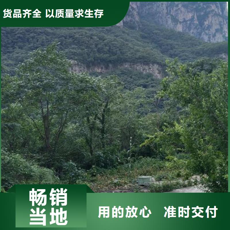 小型混凝土泵车价格表