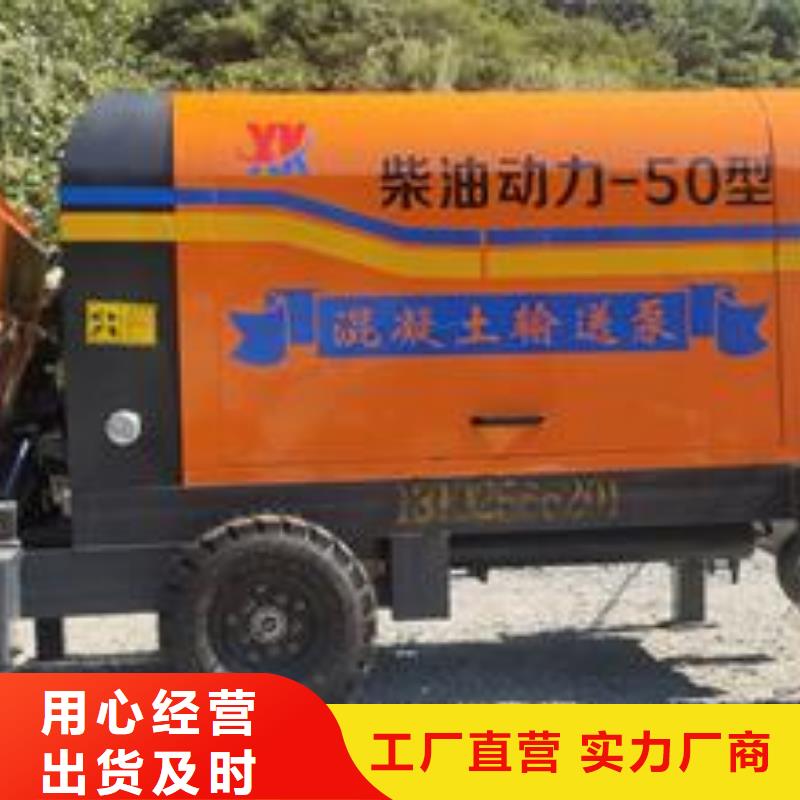 小型混凝土泵【二次构造柱泵】高品质诚信厂家