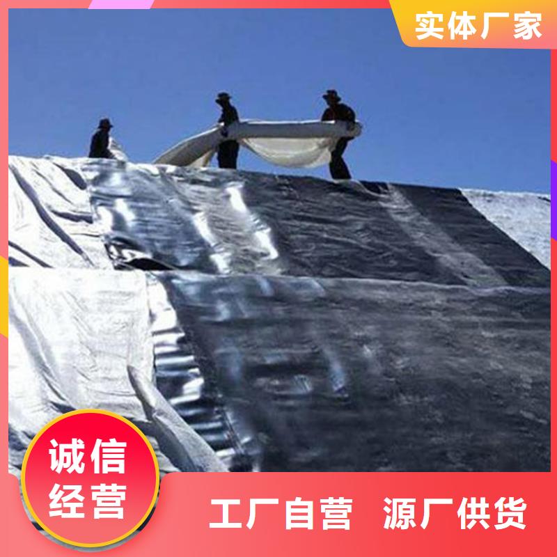 【杭州】订购鼎诺HDPE土工膜