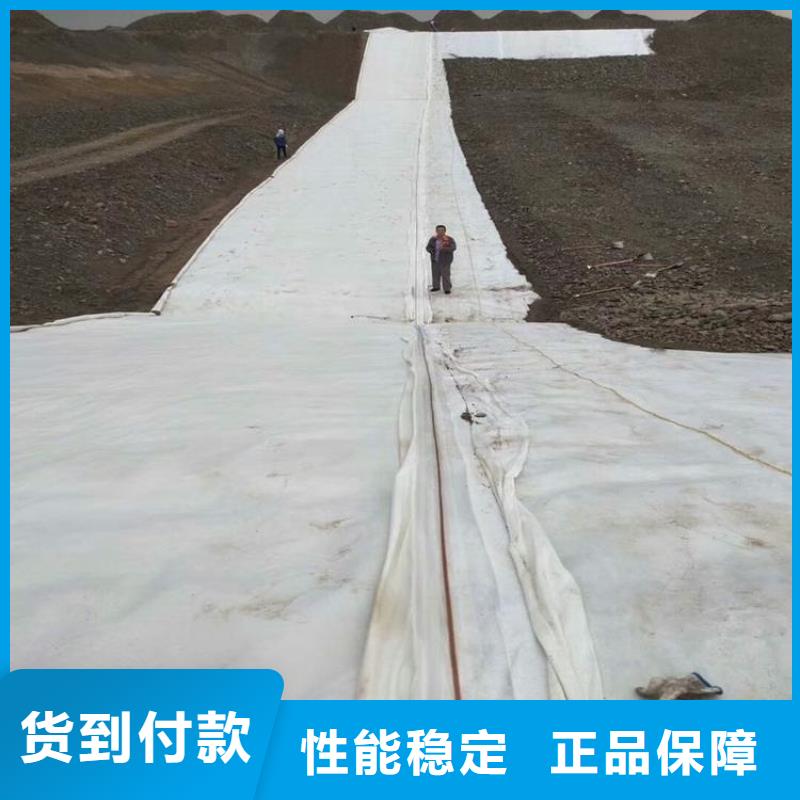 河道堤坝土工布
