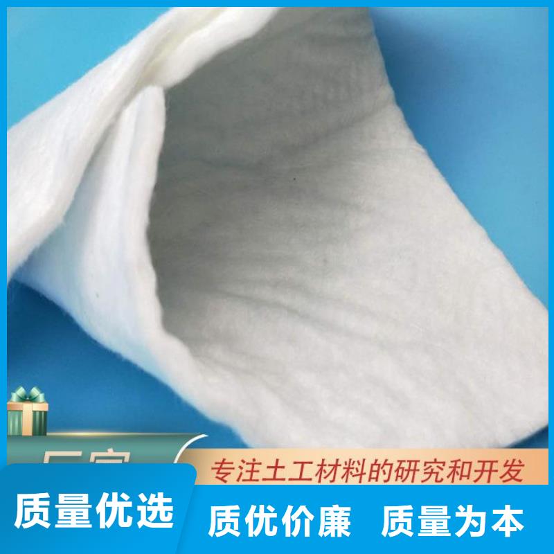 地下車(chē)庫(kù)土工布價(jià)格資訊已更新