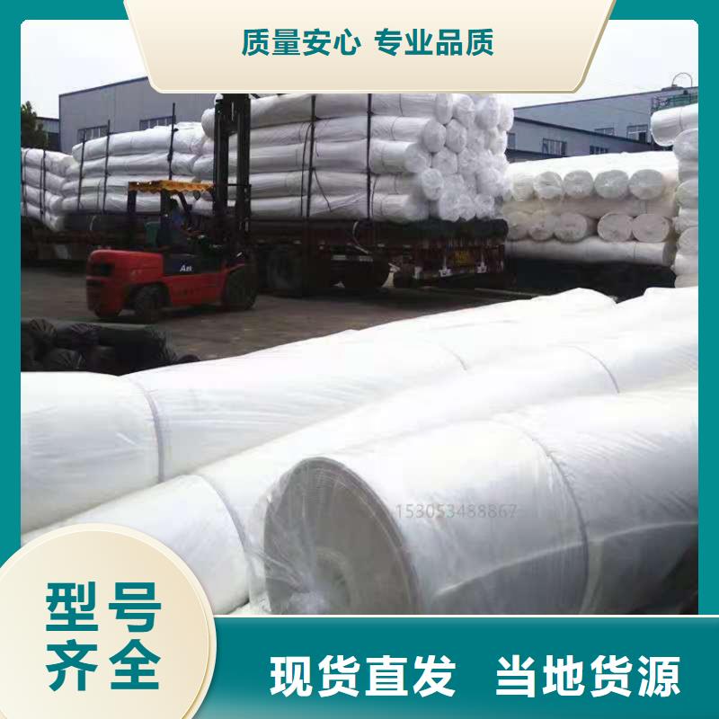 六枝特|盘县|黔东南|贵阳|毕节|黔西南【土工布】-土工格栅一手货源源头厂家N年生产经验