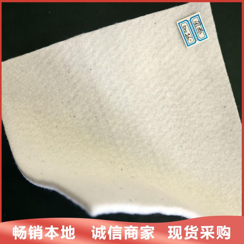 短絲土工布-400g土工布