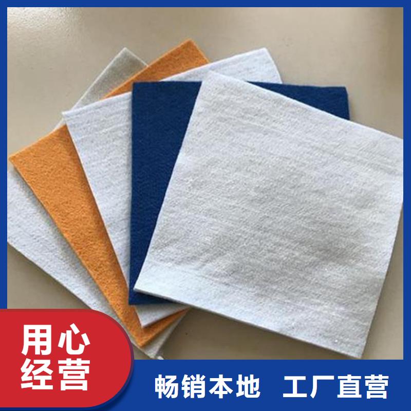 土工布膨润土防水毯用心做好每一件产品