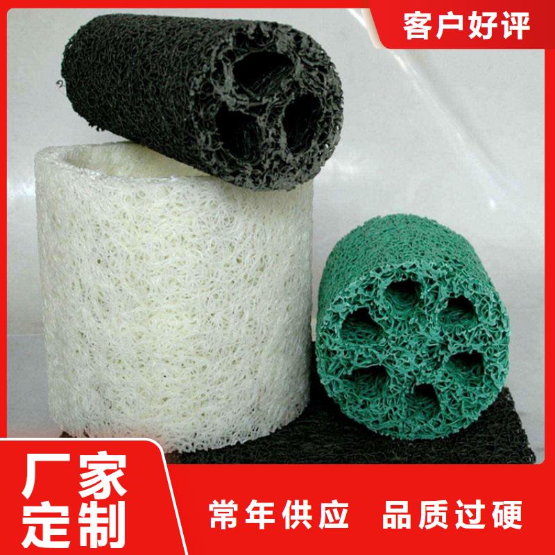|潘集|八公山|滁州|池州|六安|宿州鼎诺塑料盲沟 【土工格栅】厂家直销供货稳定