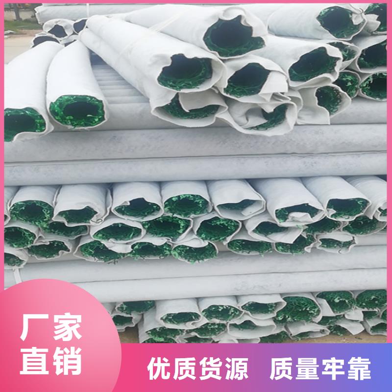 塑料盲沟三维植被网供货及时