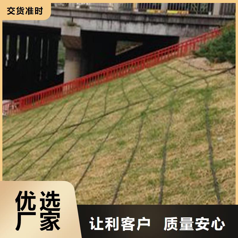 护坡植被植草毯批发市场