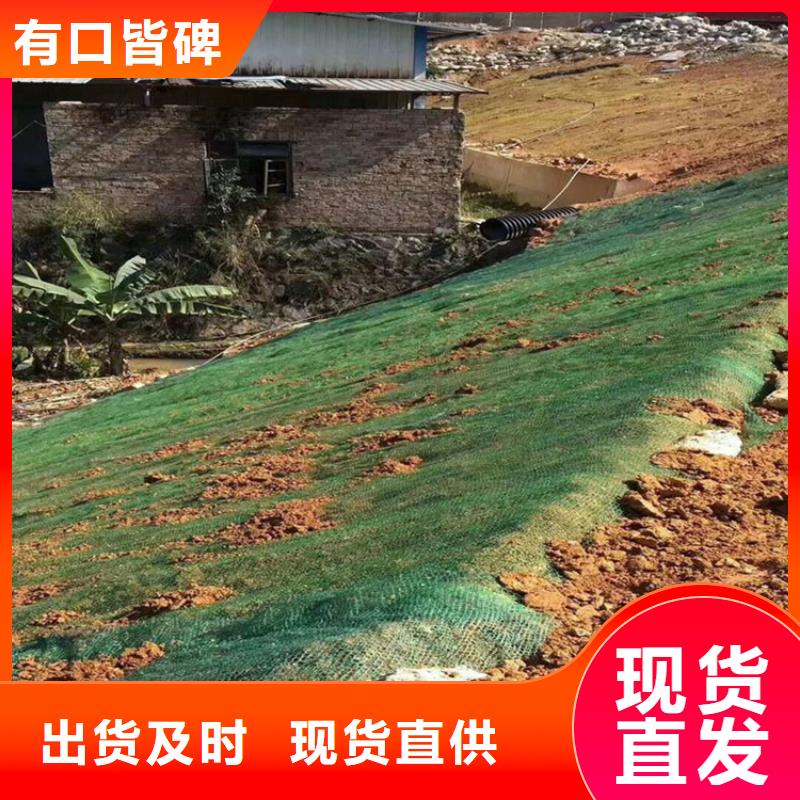 椰丝毯-铁路植生毯-生态植被垫