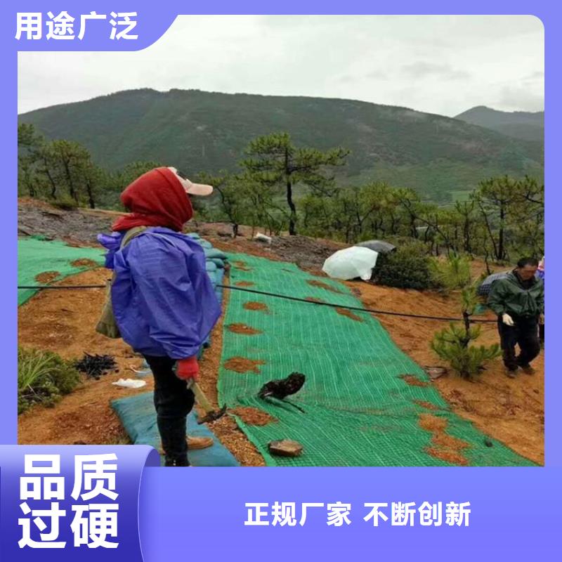 椰丝毯土工布批发价格