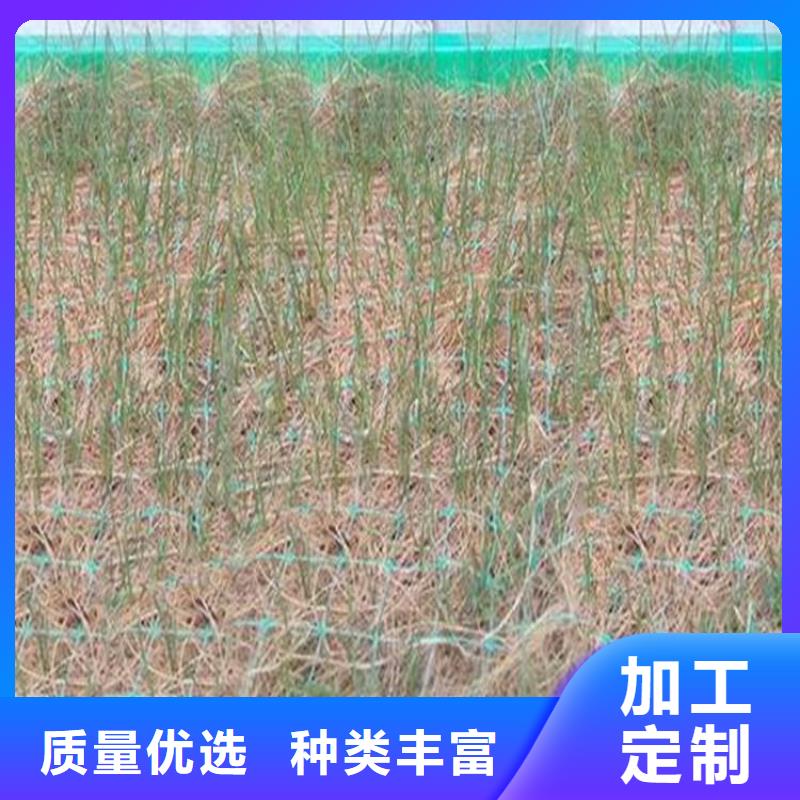 加筋抗冲生物毯-秸秆植被纤维毯