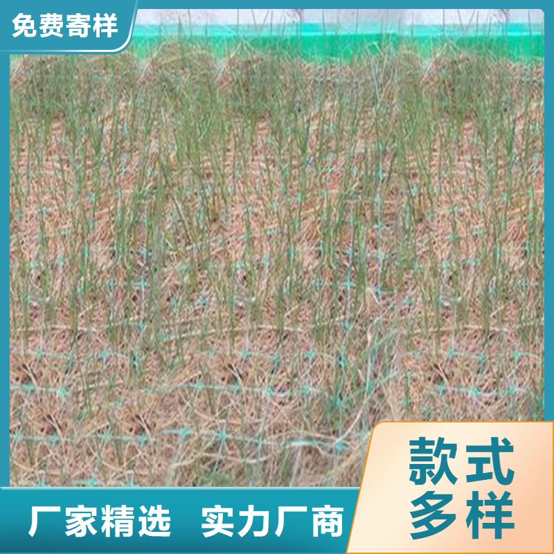 护坡植被植草毯批发市场