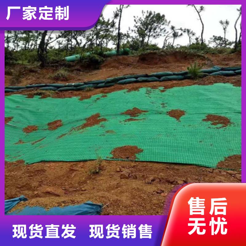 加筋抗冲生物毯-植被纤维毯