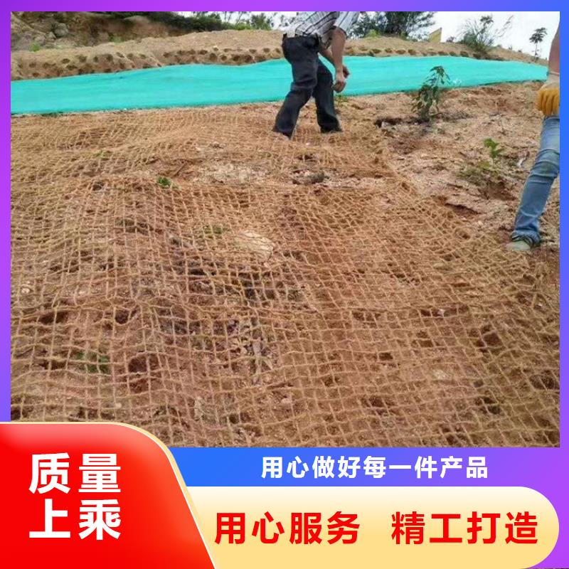 生态环保草毯护坡植被植草毯厂家市场经销