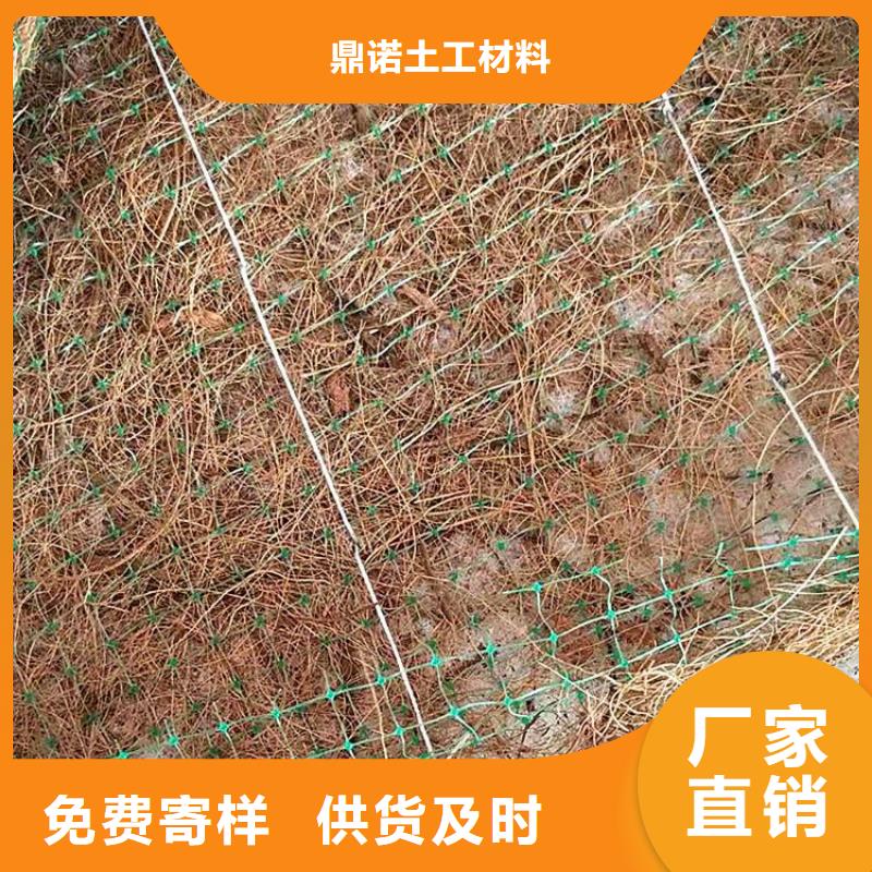 护坡植被植草毯-加筋环保草毯