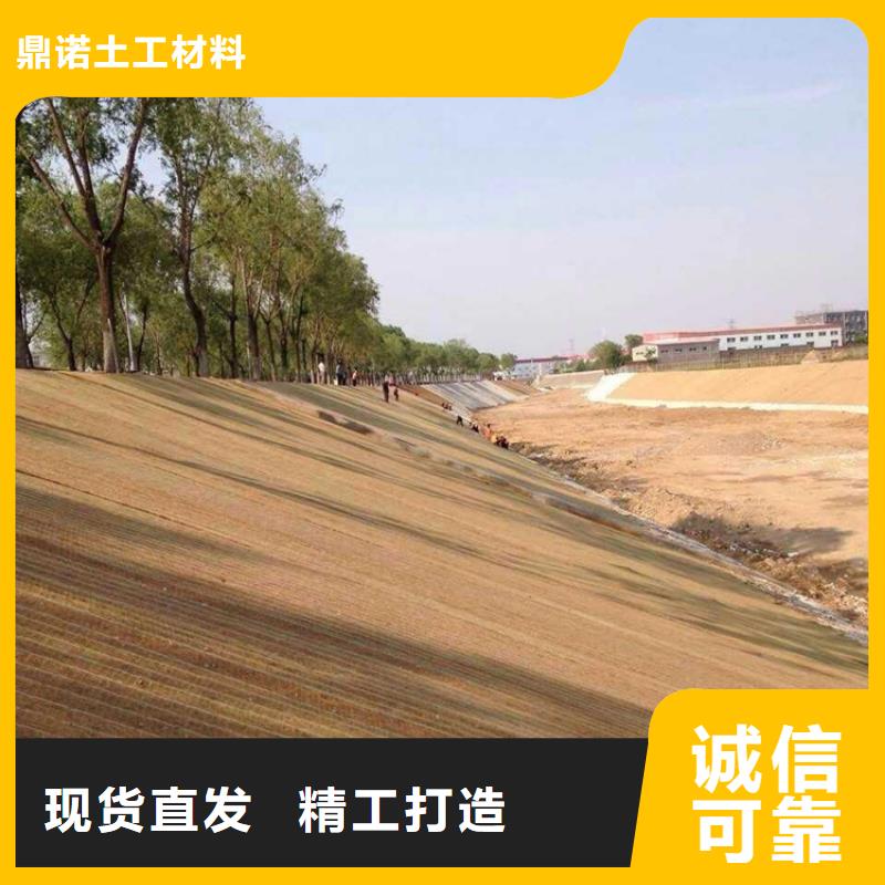 制造生产销售 椰丝毯_【土工格栅】敢与同行比服务-附近应用范围广泛_产品案例