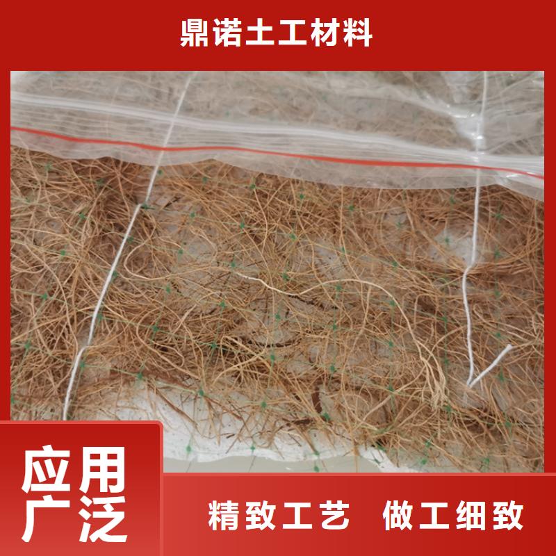 [温州]专注细节更放心鼎诺护坡植被植草毯-植物纤维毯加筋-防护施工