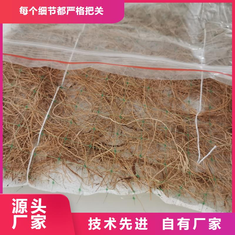 《吉安》多种工艺(鼎诺)椰丝毯-河道环保草毯-抗冲植物毯