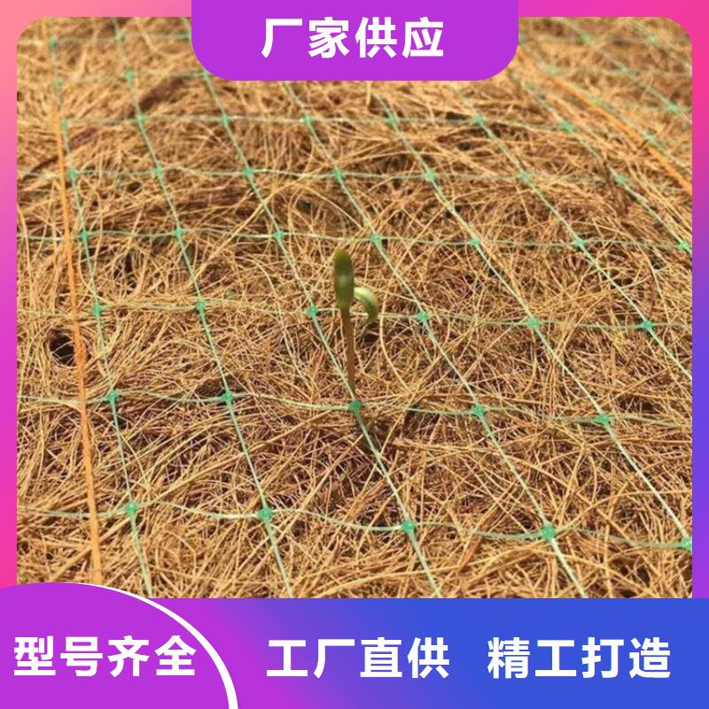 椰纤植生毯规格