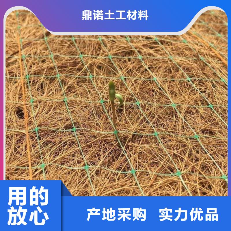 北京周边【鼎诺】椰丝毯,HDPE土工膜极速发货