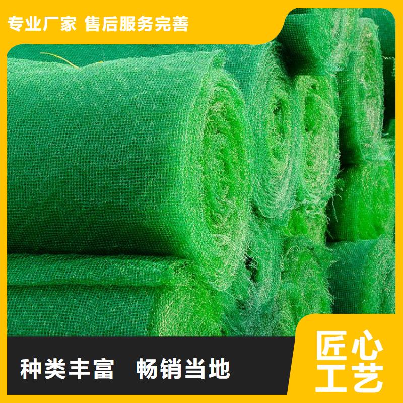 绿化护坡加筋护坡植草网垫