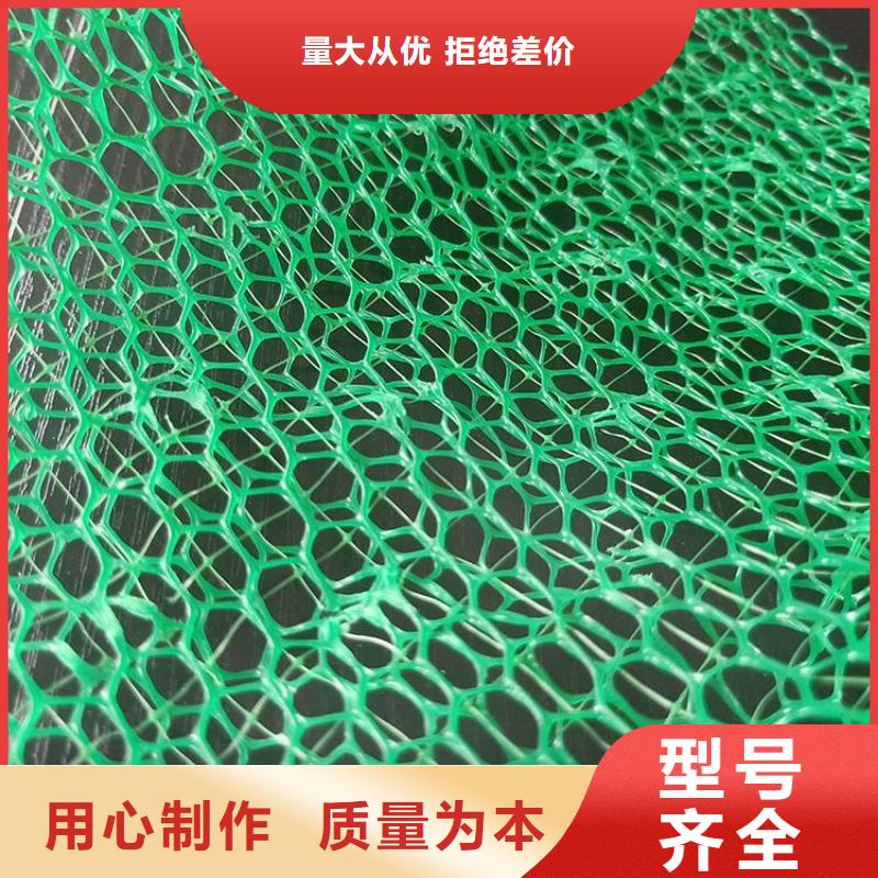 三維植被網【植草格】好貨采購