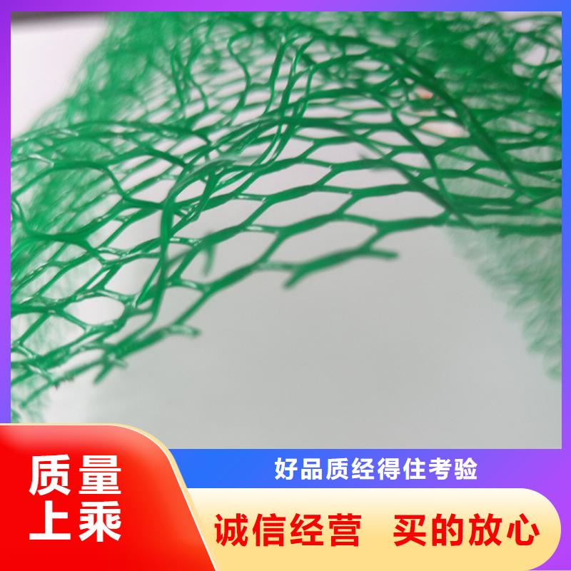 三维植被网-EM5三维护坡植草网垫
