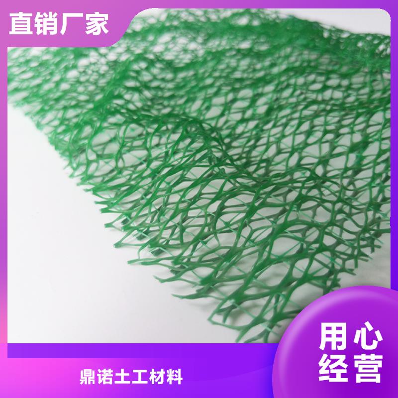三维固土网垫EM3三维植被网