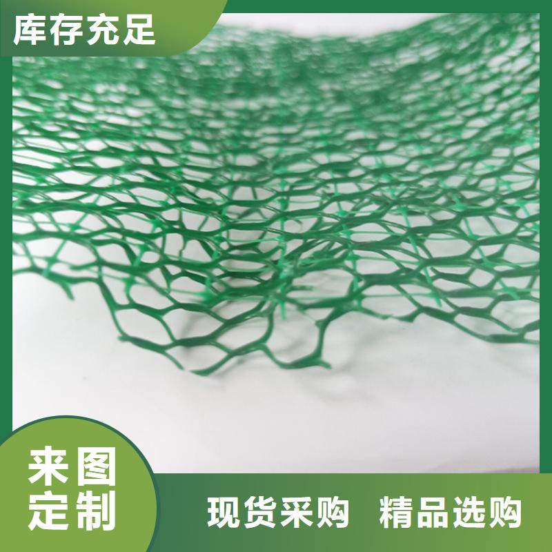 环保草皮三维固土网垫
