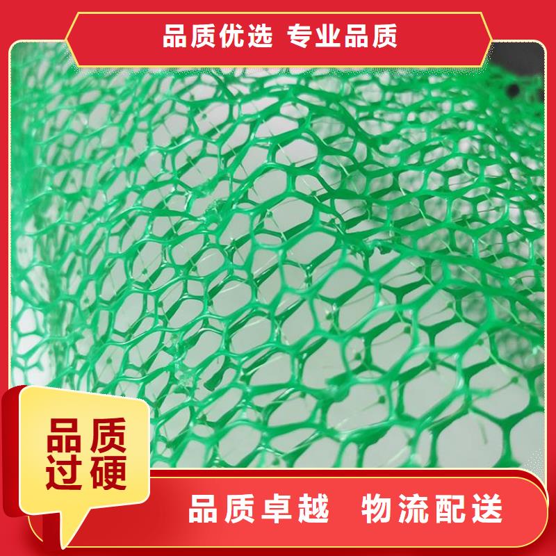 【三维植被网塑料盲沟源头厂家量大价优】