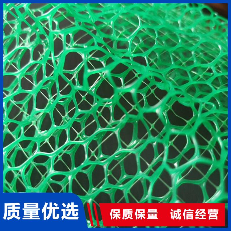 EM3三維固土網墊-3層4層三維植被網