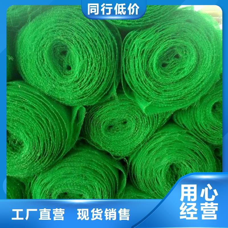 三維植被網多少錢一平