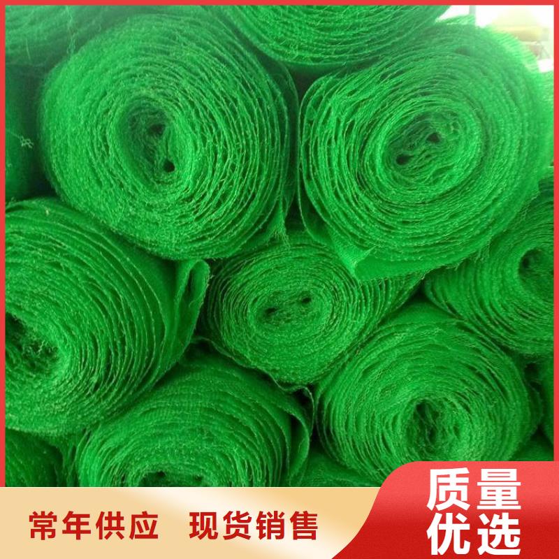 护坡环保三维植被网