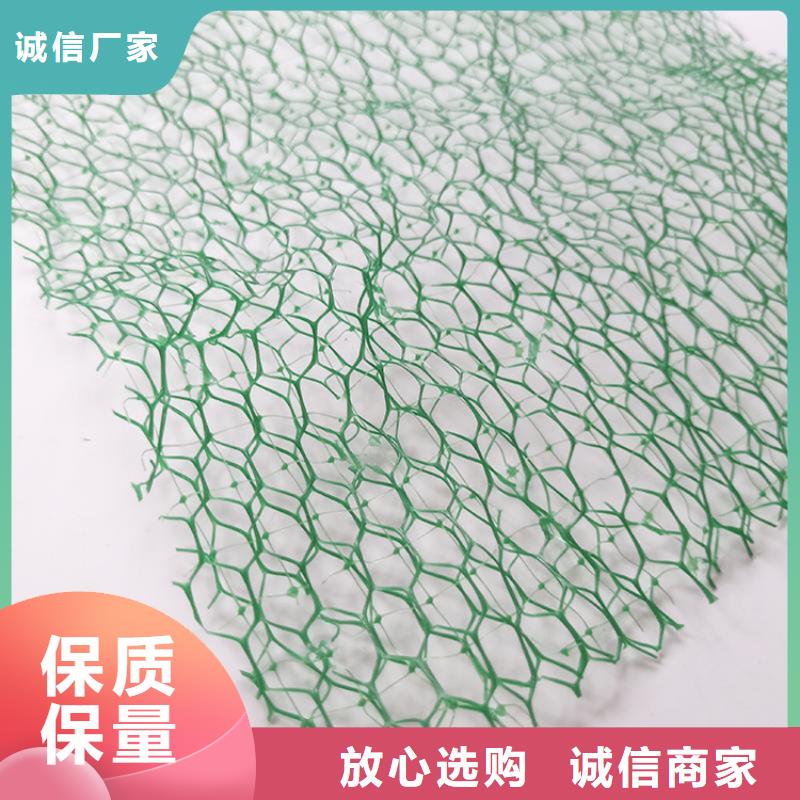 三维植被网-EM5三维护坡植草网垫
