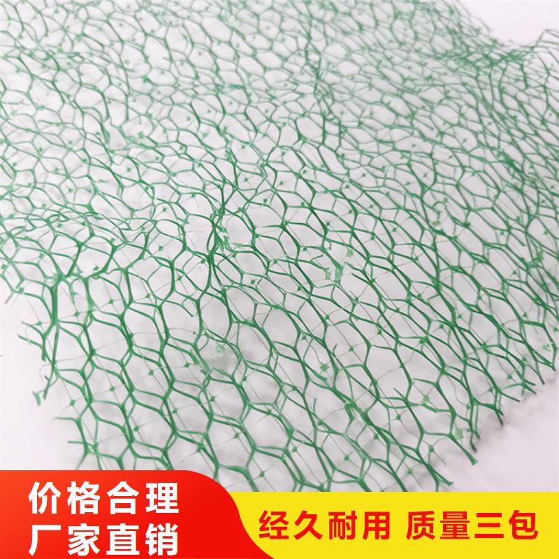 三維植被網硬式透水管專業生產廠家