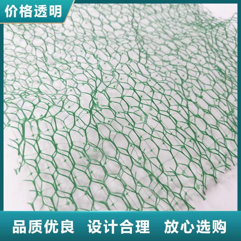 護坡環(huán)保加筋護坡植草網(wǎng)墊