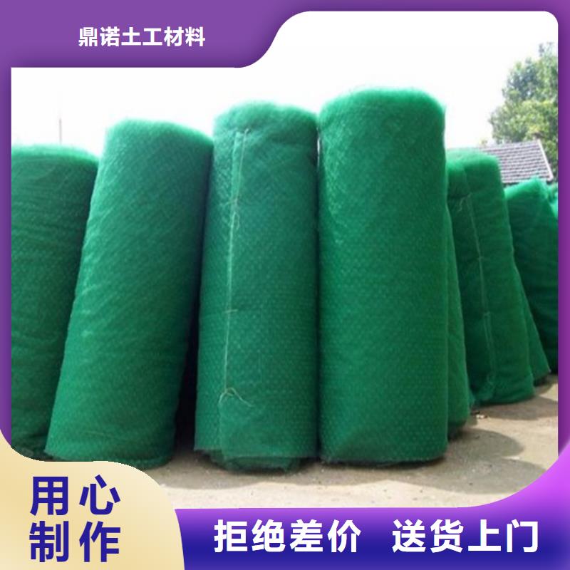 三維植被網_排水板優勢