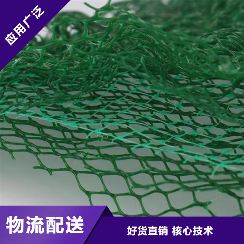 【 三维植被网_HDPE土工膜批发货源】