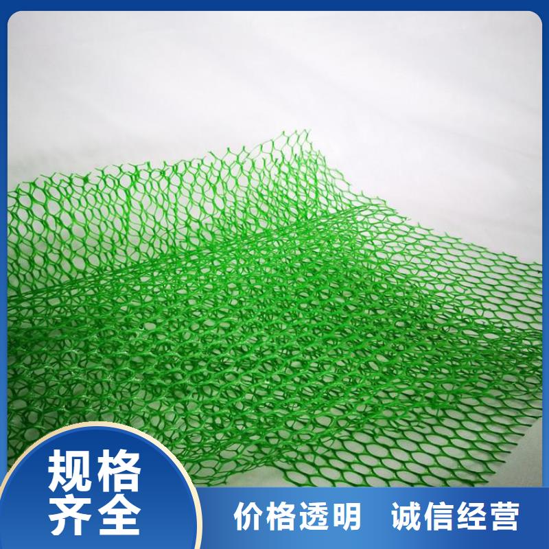 邊坡護坡三維固土網墊