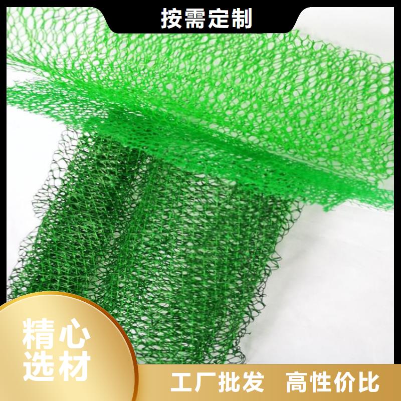 防渗膜鼎诺【 三维植被网土工布严格把关质量放心】