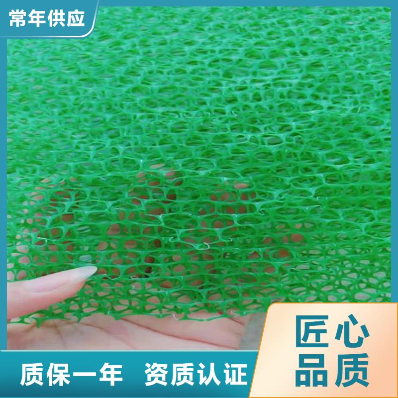 【三维植被网塑料盲沟源头厂家量大价优】