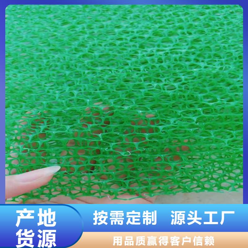 凤城|振安|锦州|朝阳|沈阳|盘锦|抚顺|本溪|大连三维植被网【止水带】实力才是硬道理公司