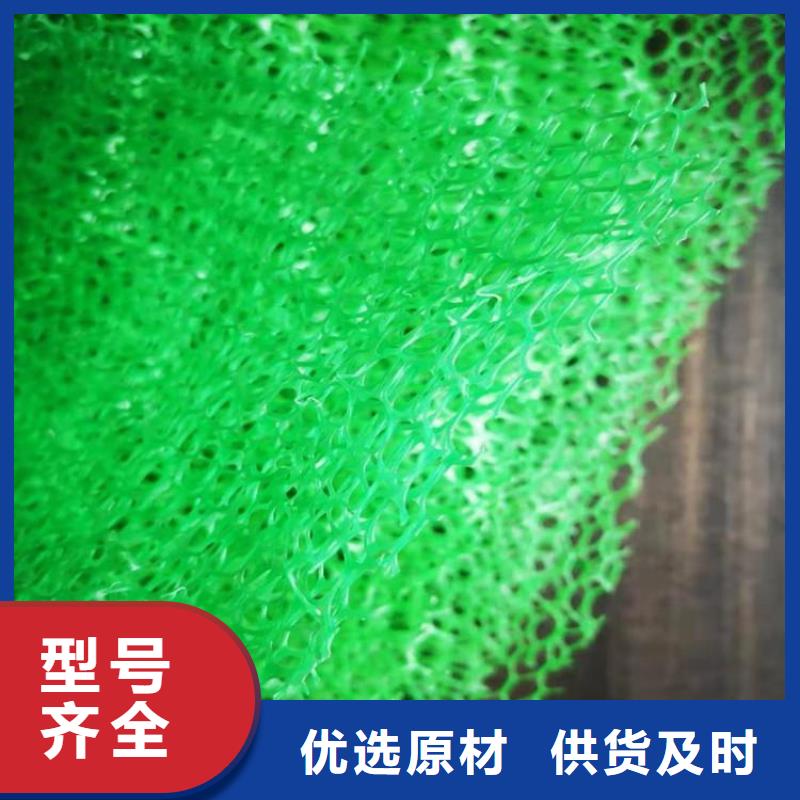 EM3三維固土網墊-加筋三維植被網