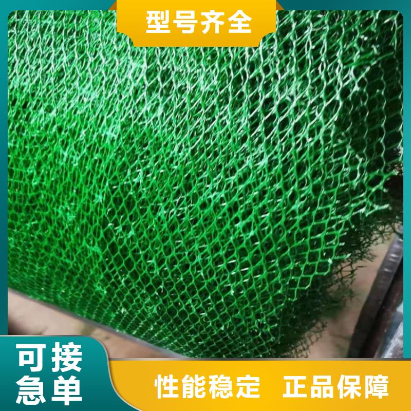 绿化护坡加筋护坡植草网垫