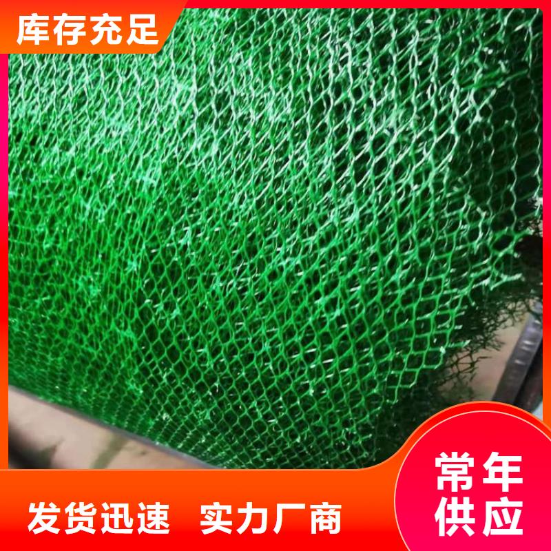 三維植被網多少錢一平