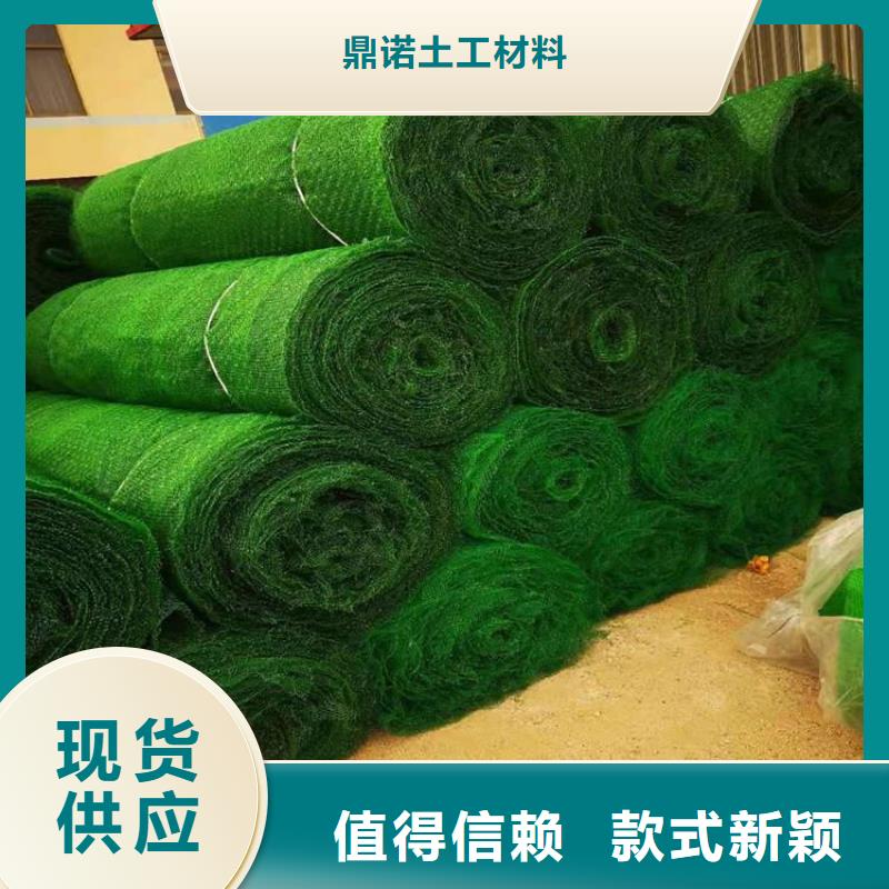 鼎诺【 三维植被网土工布严格把关质量放心】-业务覆盖区域|建水|石屏|迪庆|昆明|楚雄|怒江|普洱|德宏|昭通-企业旺旺