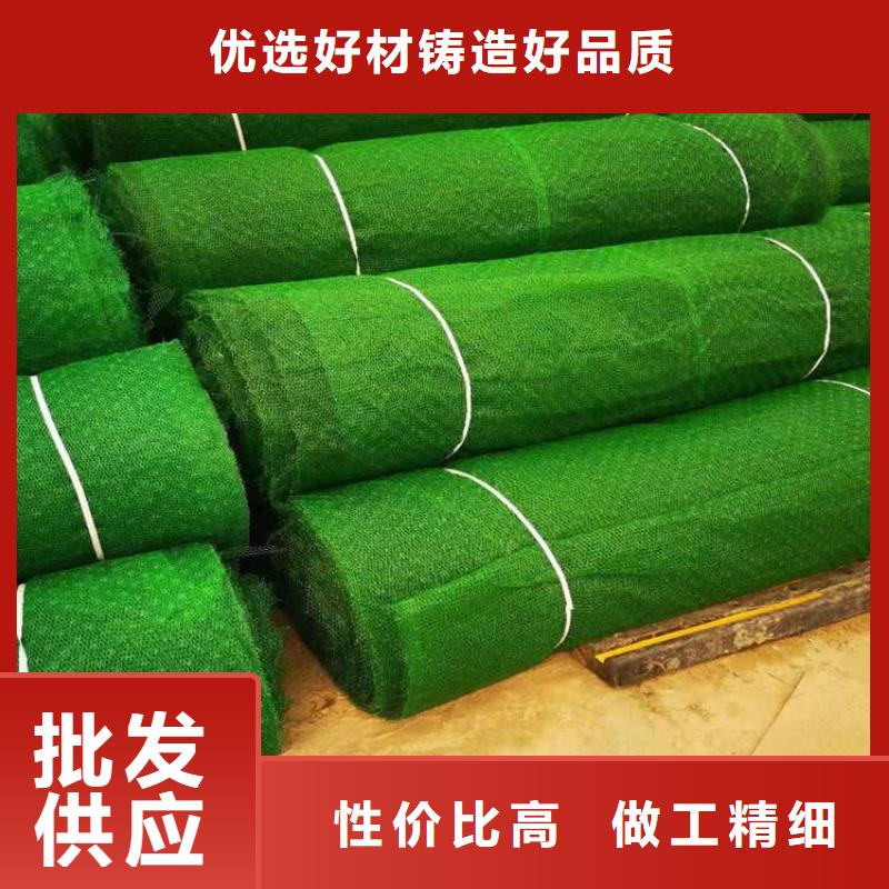 【 三维植被网土工布严格把关质量放心】
