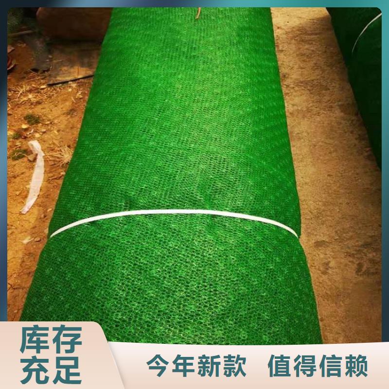 环保草皮三维固土网垫