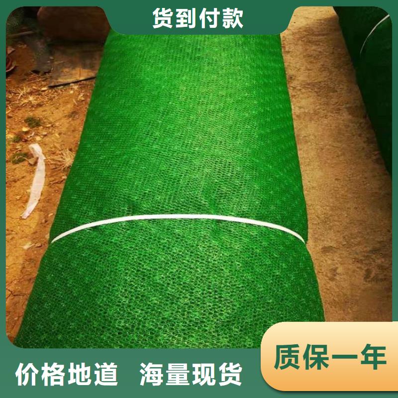 【 三维植被网_HDPE土工膜批发货源】