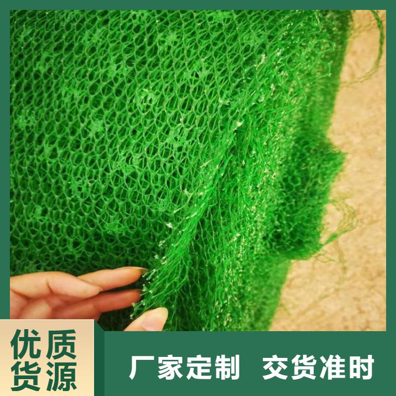 三维植被网玻纤格栅优质原料